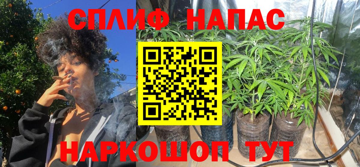 Канабис семена  Бошки марихуана VHQ  Корсаков  Вход с VPN  Каннабис THC 21% 